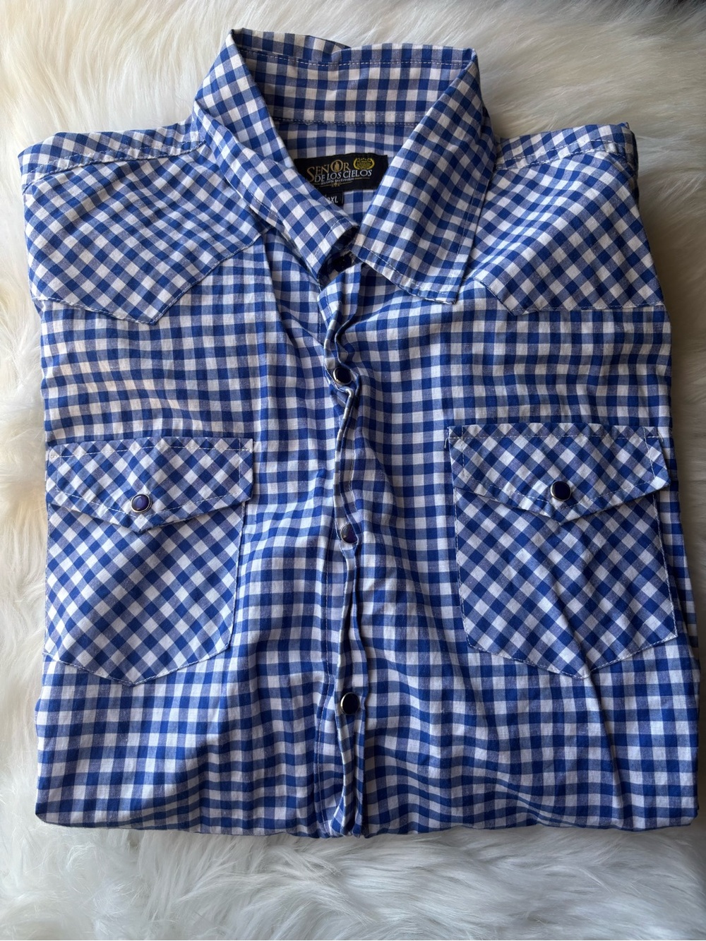 Blue Gingham Button-Down Shirt by Sergio Gutierrez